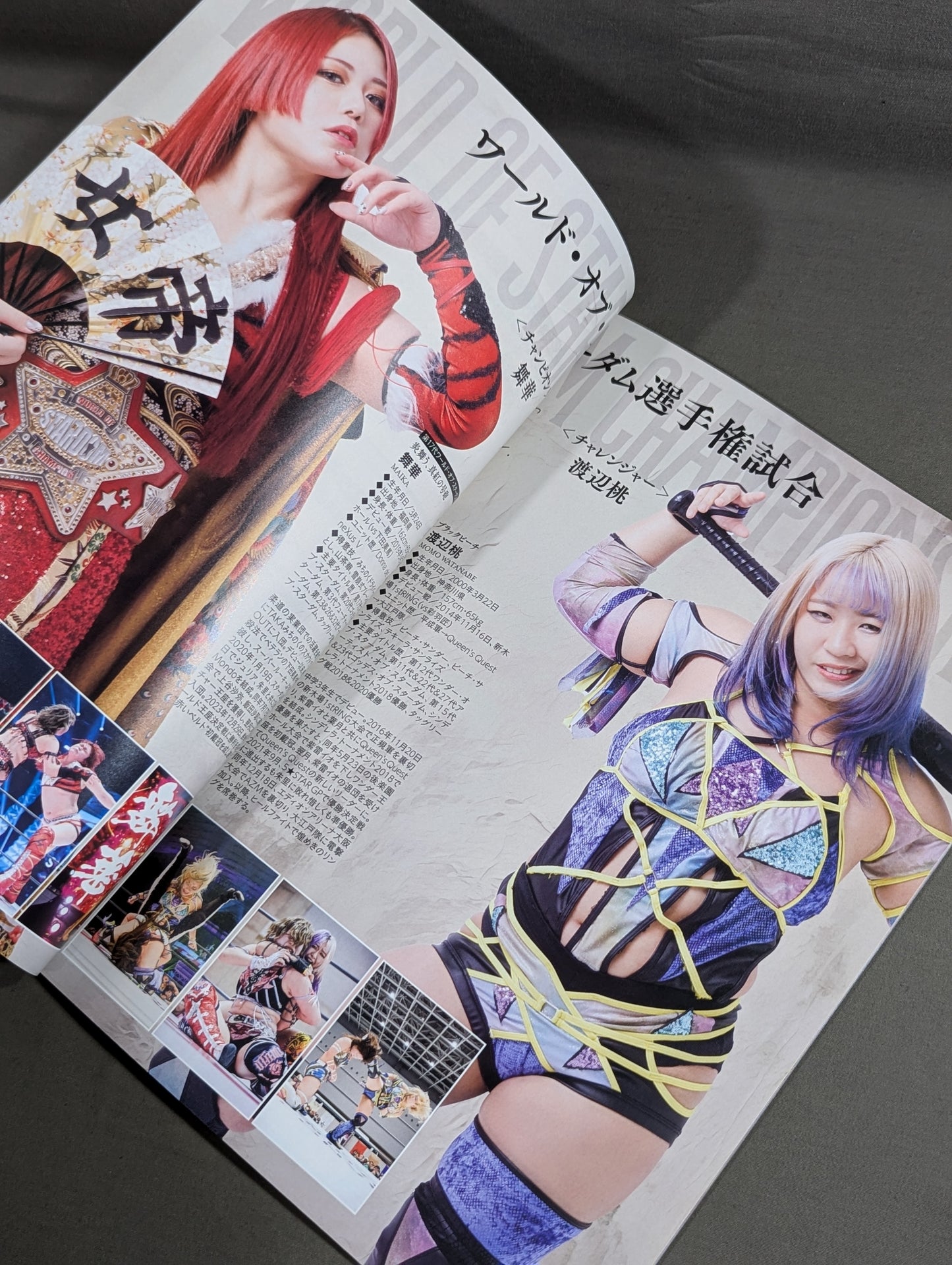 STARDOM OFFICIAL GUIDE BOOK Vol.151
