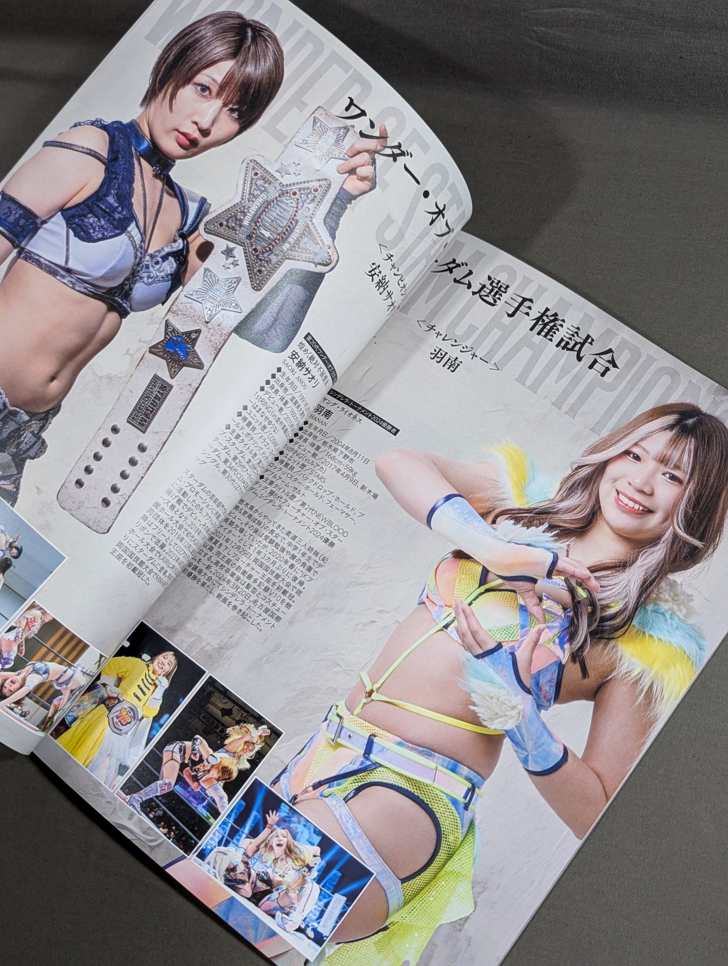 STARDOM OFFICIAL GUIDE BOOK Vol.151