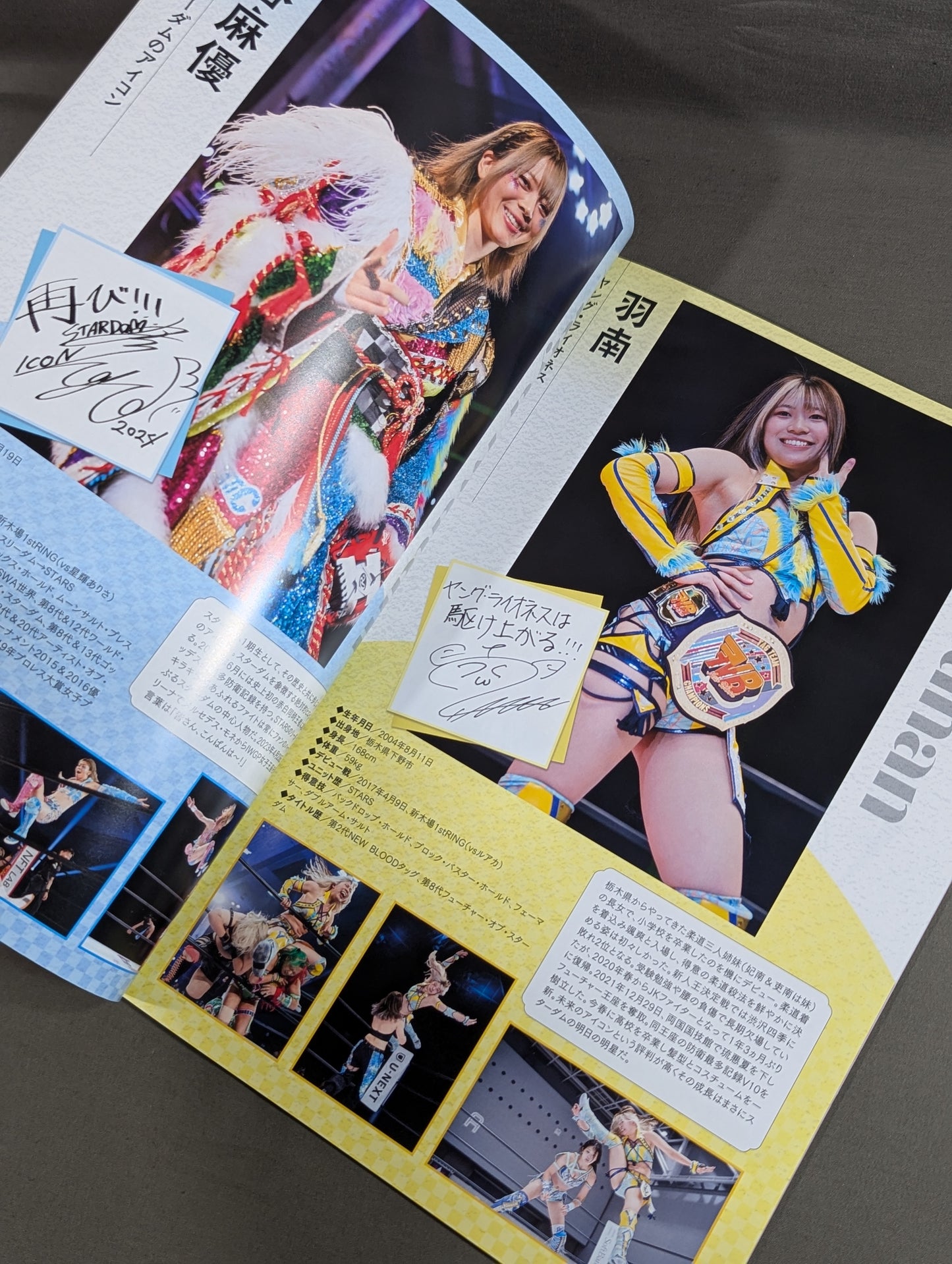 STARDOM OFFICIAL GUIDE BOOK Vol.150