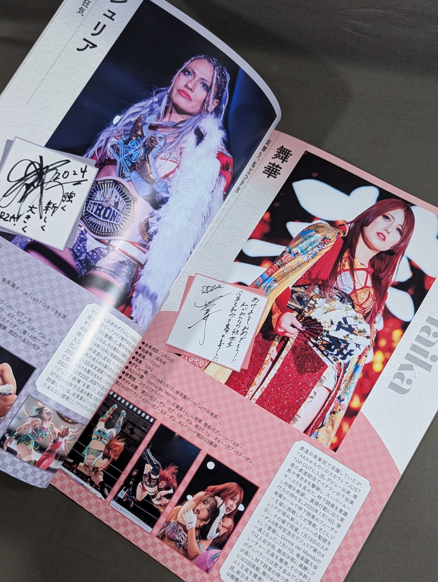 STARDOM OFFICIAL GUIDE BOOK Vol.150