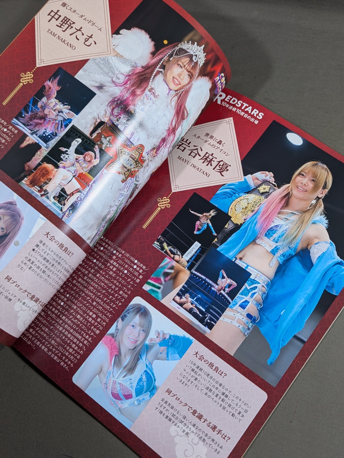 STARDOM OFFICIAL GUIDE BOOK Vol.148
