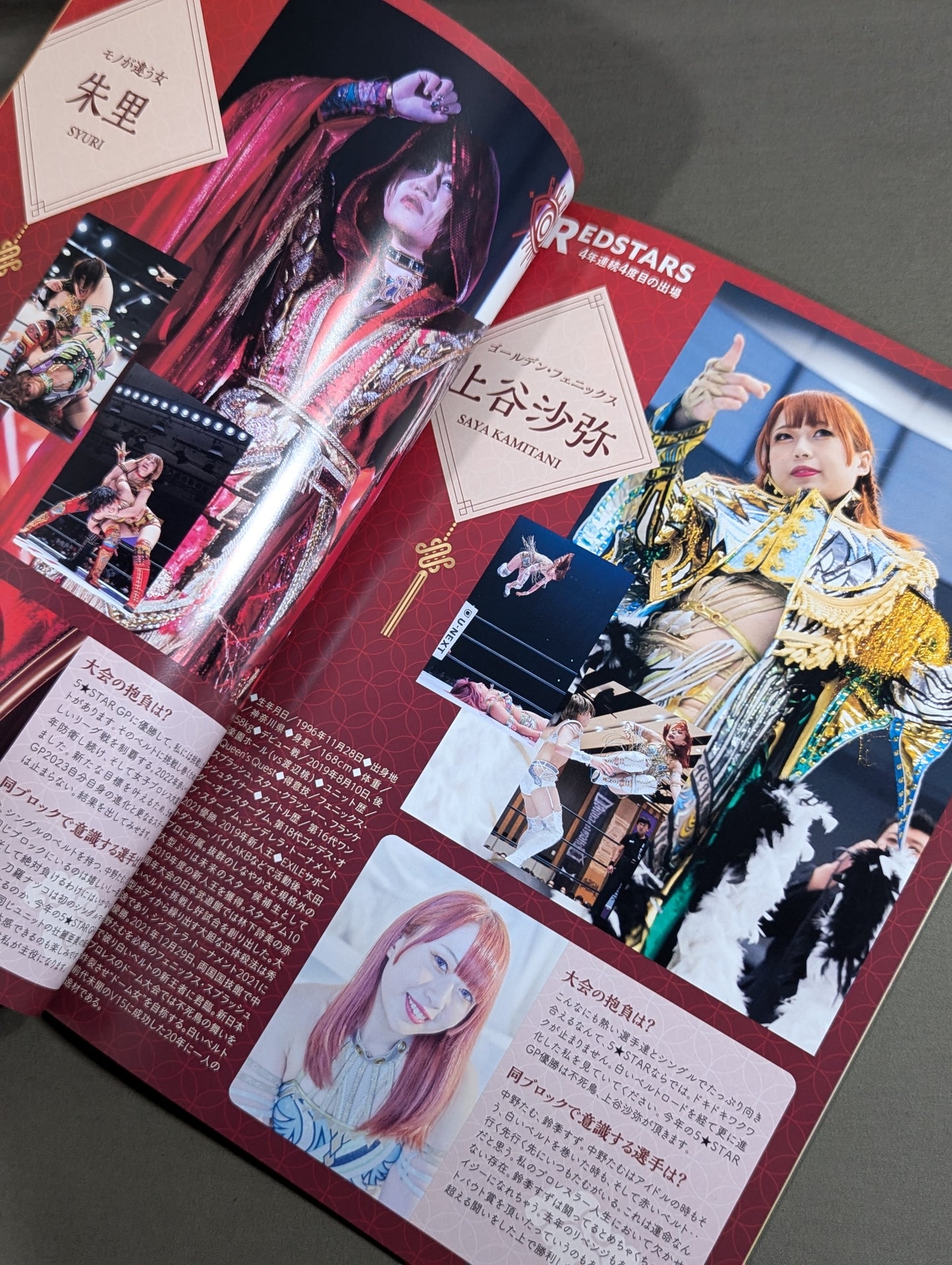 STARDOM OFFICIAL GUIDE BOOK Vol.148
