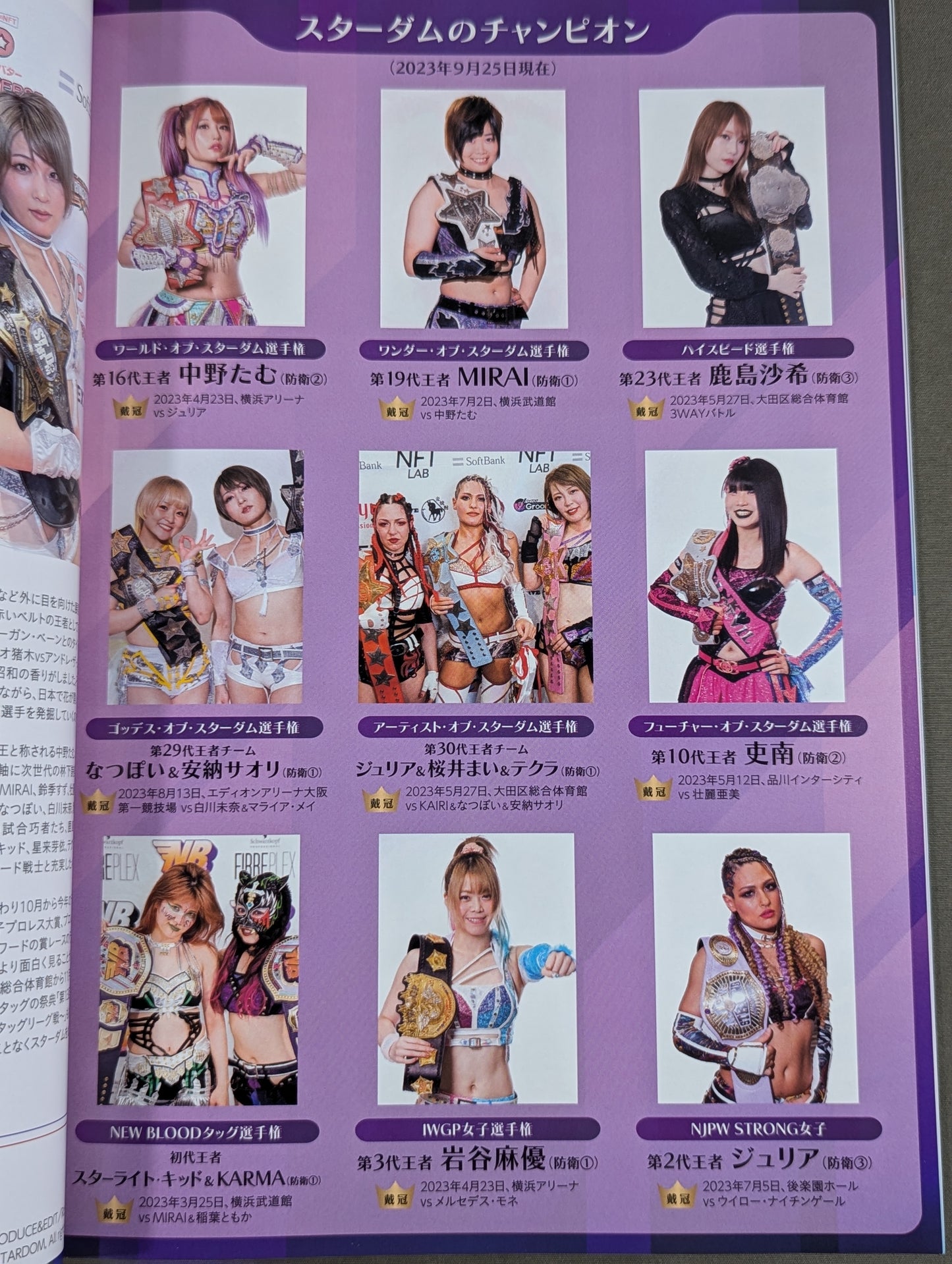 STARDOM OFFICIAL GUIDE BOOK 5★STAR GP 2023 Special
