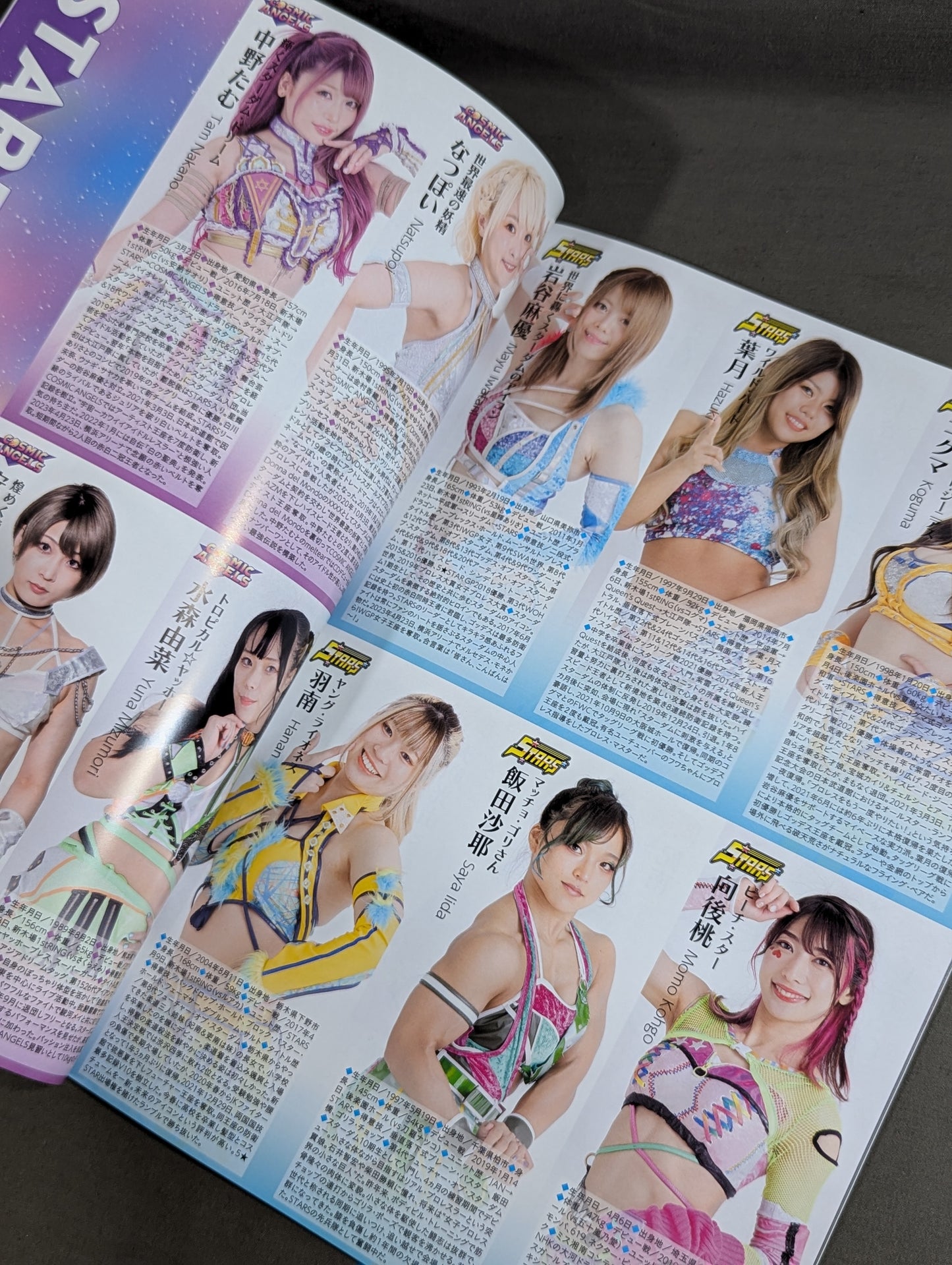 STARDOM OFFICIAL GUIDE BOOK 5★STAR GP 2023 Special