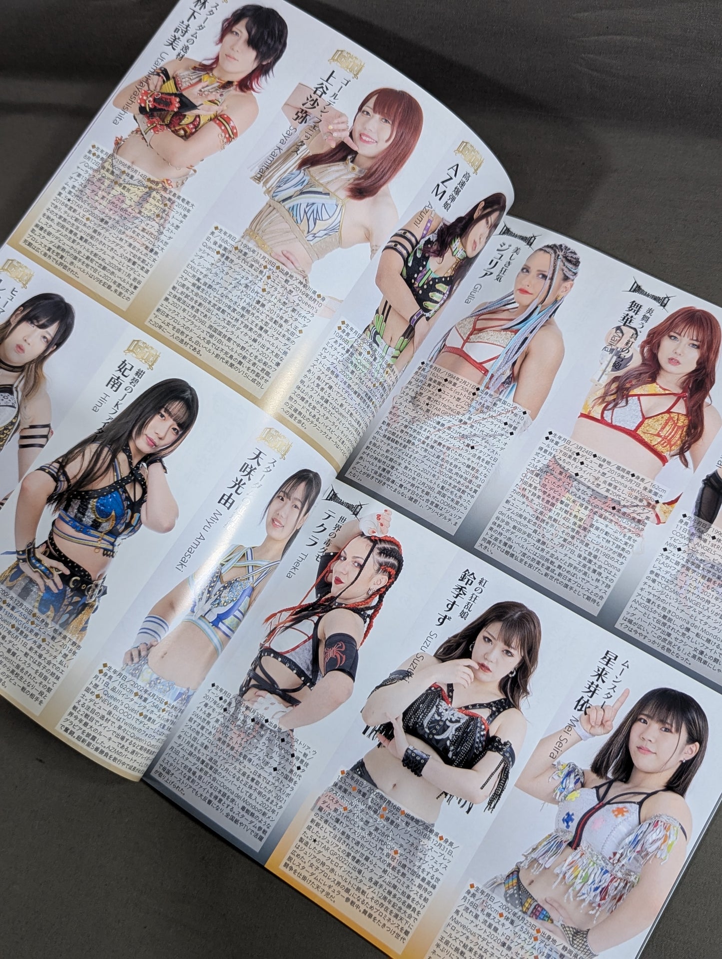 STARDOM OFFICIAL GUIDE BOOK 5★STAR GP 2023 Special