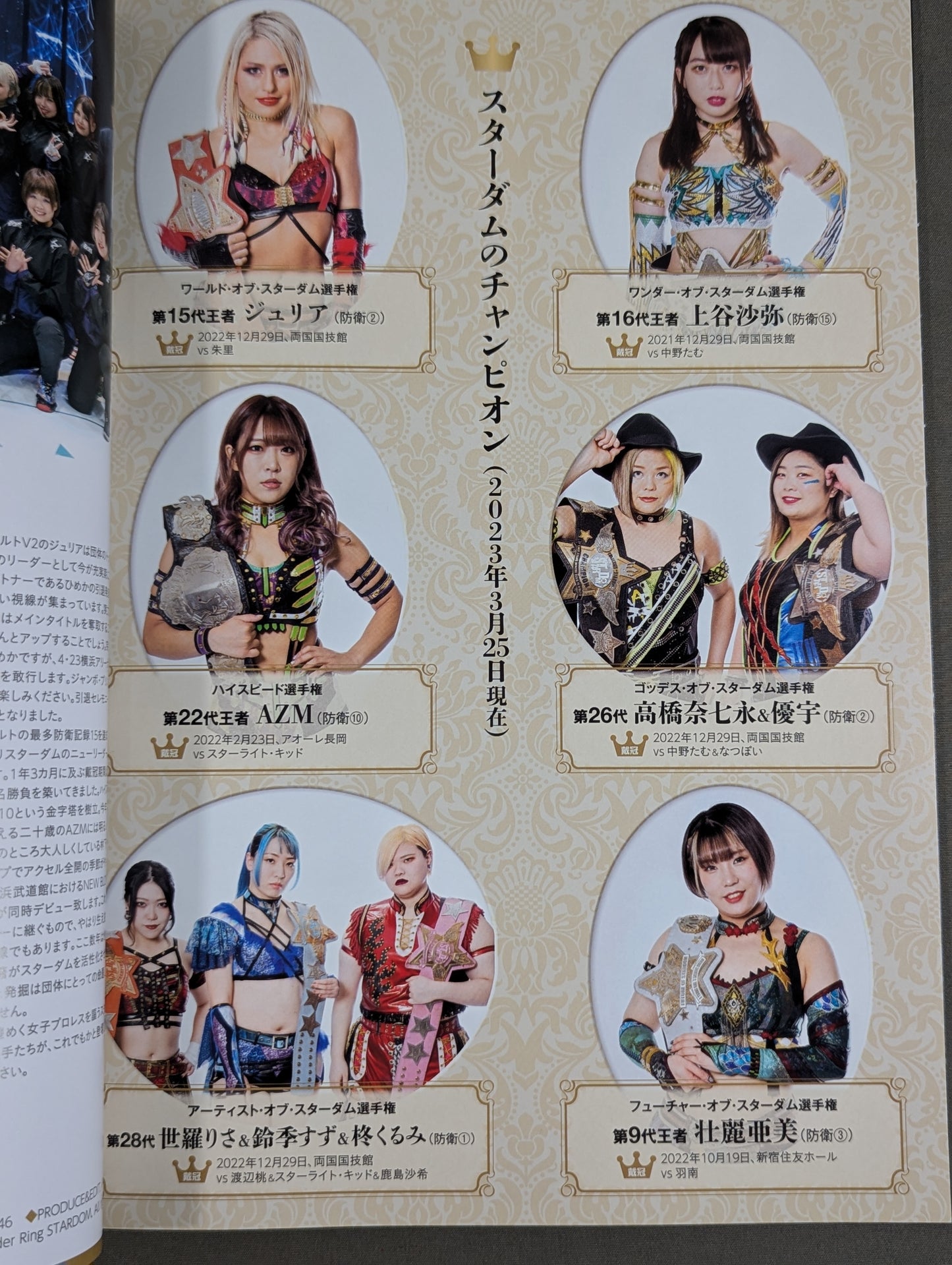 STARDOM OFFICIAL GUIDE BOOK Vol.146
