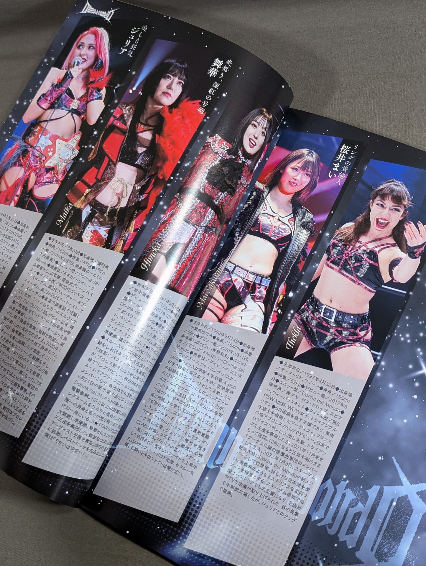 STARDOM OFFICIAL GUIDE BOOK Vol.146