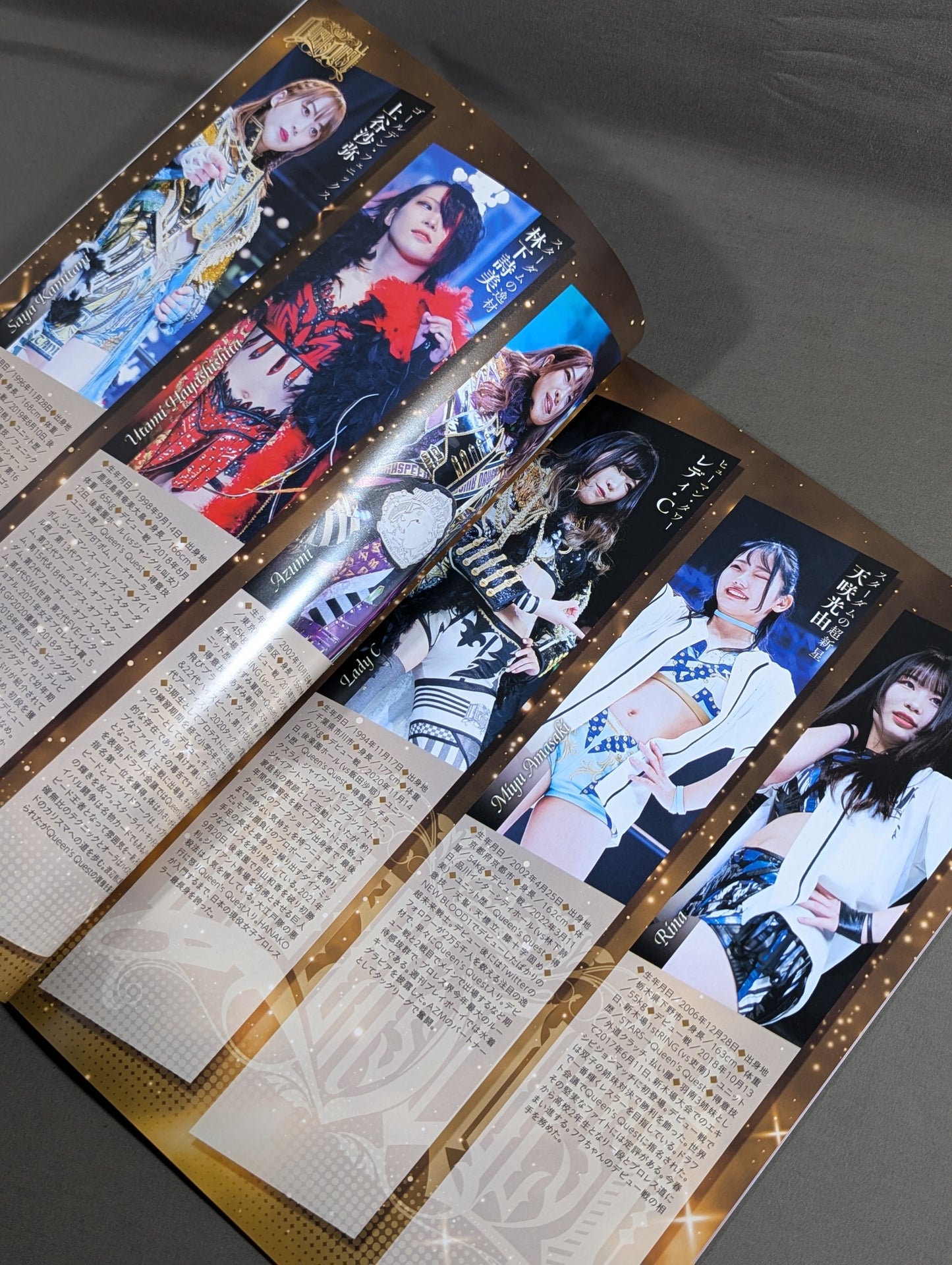 STARDOM OFFICIAL GUIDE BOOK Vol.146