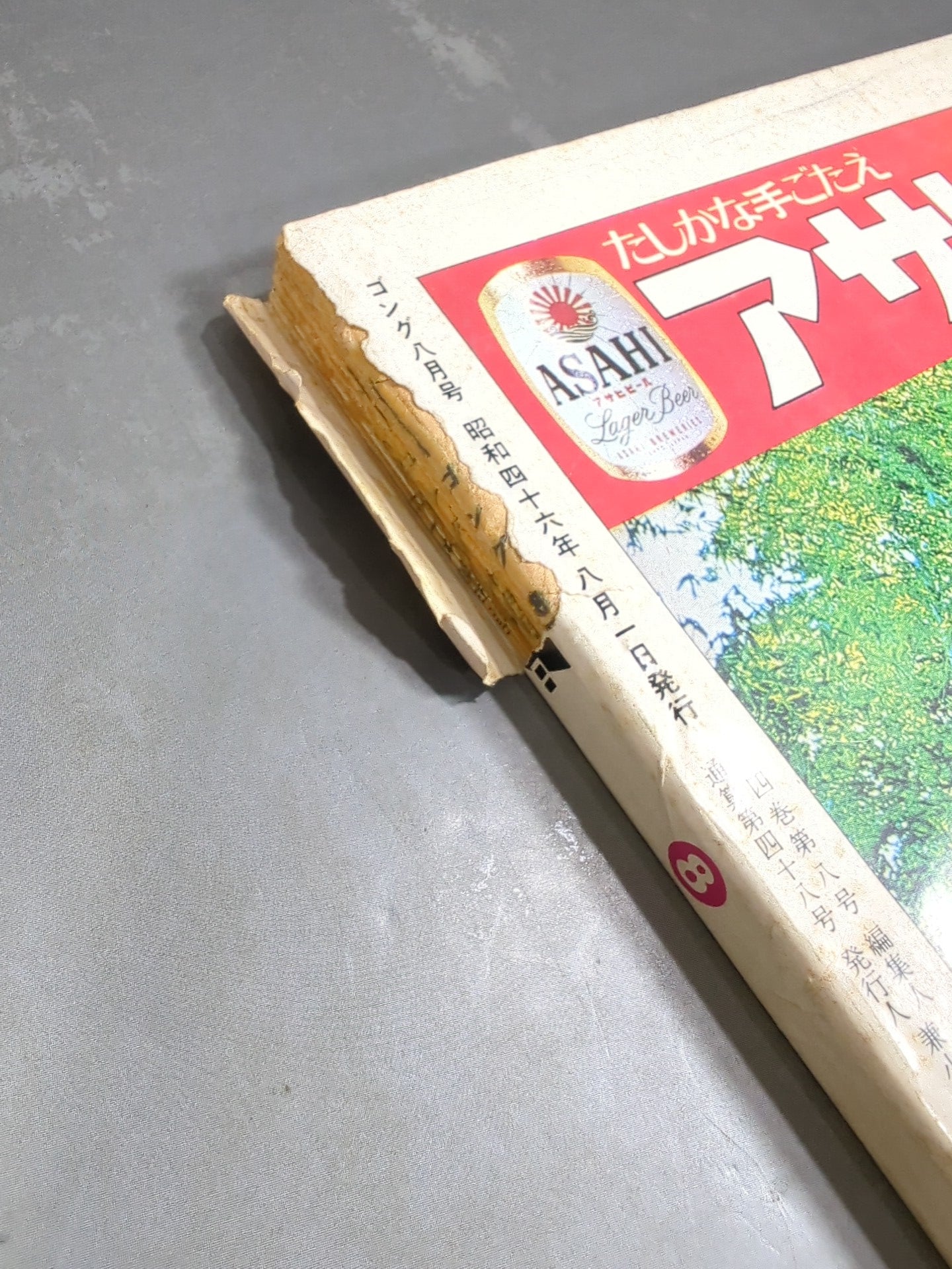 月刊ゴングVol.4 No.8