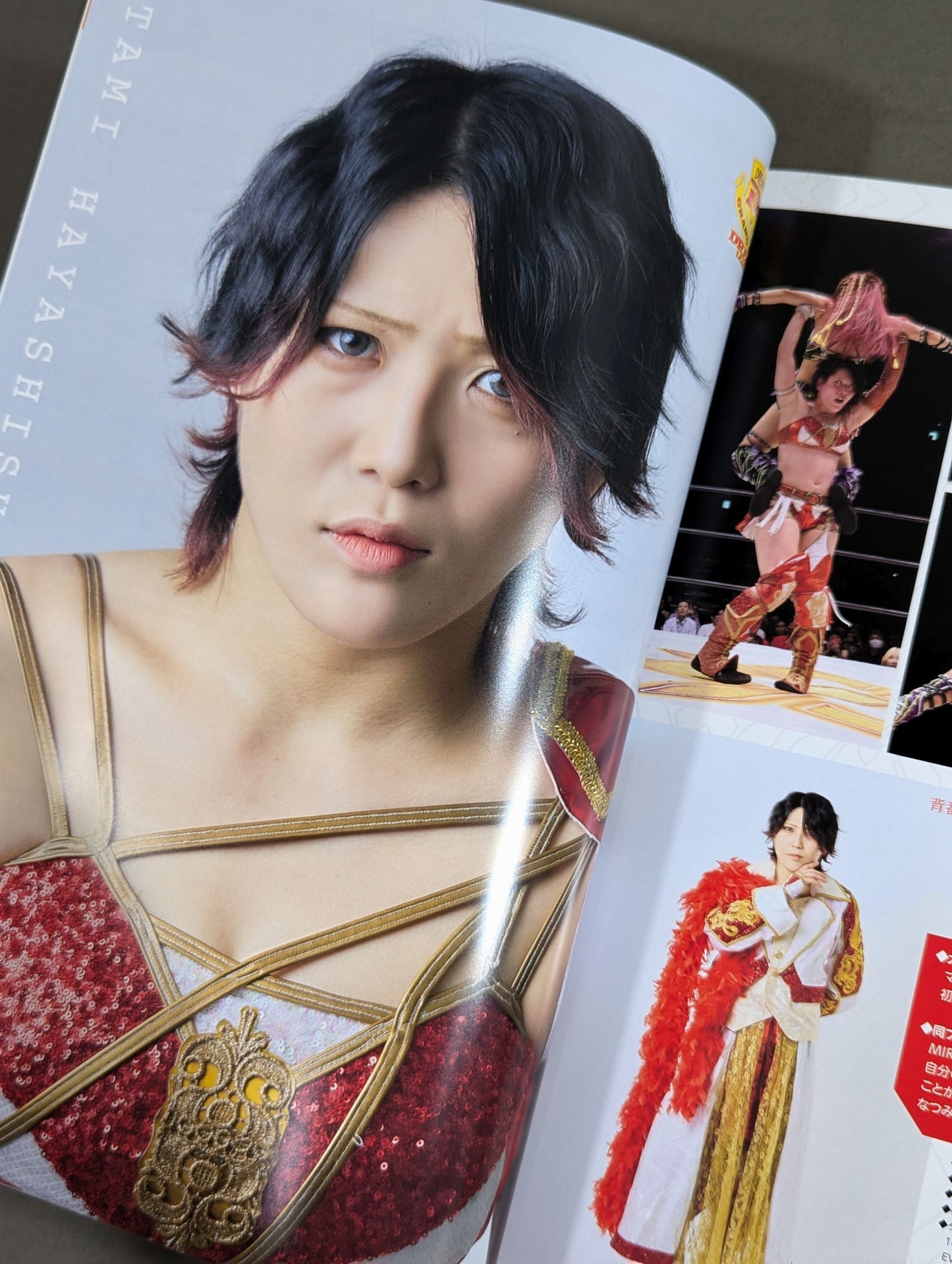 Marigold / MARIGOLD GUIDE BOOK Vol.4 ~DREAM☆STAR GP2024 Commemoration~