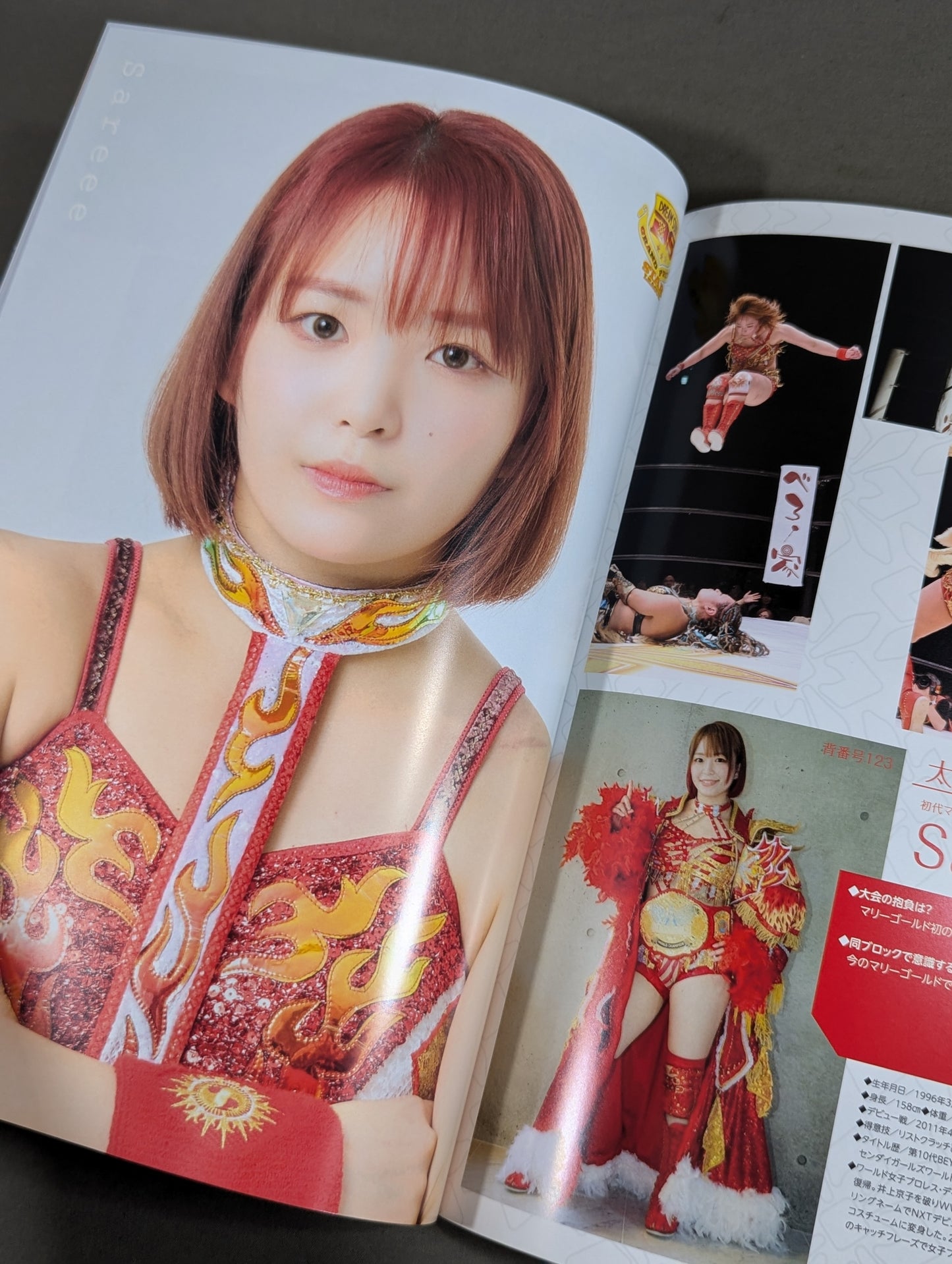 Marigold / MARIGOLD GUIDE BOOK Vol.4 ~DREAM☆STAR GP2024 Commemoration~