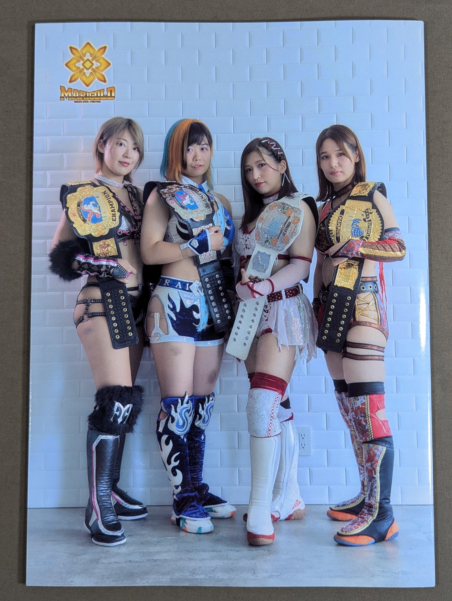 Marigold / MARIGOLD GUIDE BOOK Vol.4 ~DREAM☆STAR GP2024 Commemoration~
