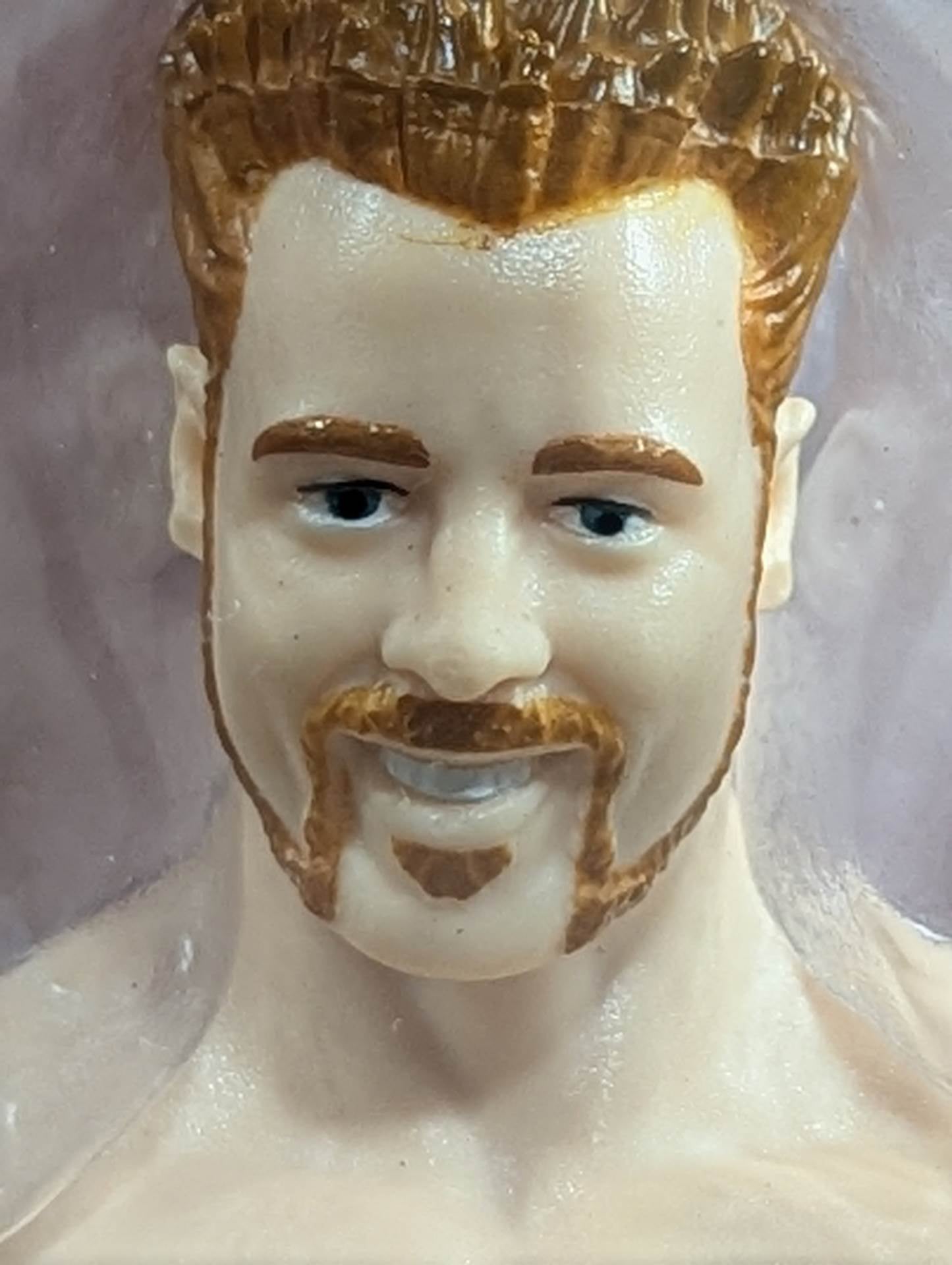 The Ultimate Warrior vs Sheamus