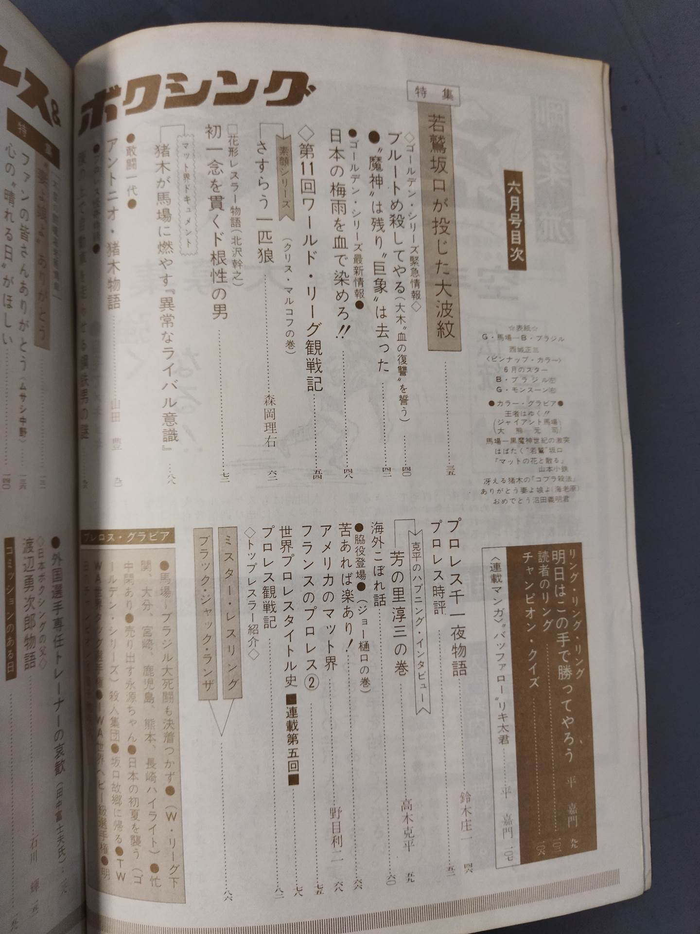 プロレス&ボクシング 1969年6月号