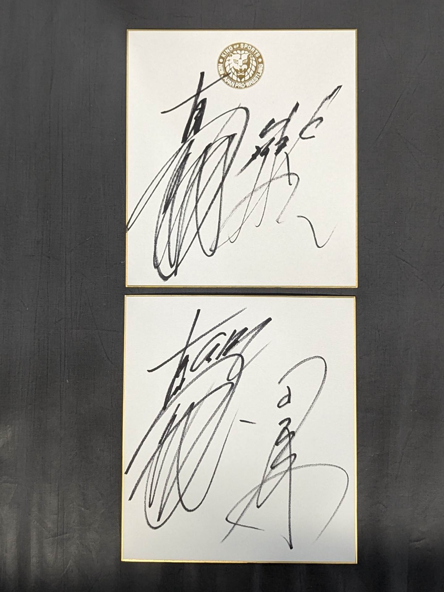 国内プロレスラー 寄せ書きサイン色紙セット