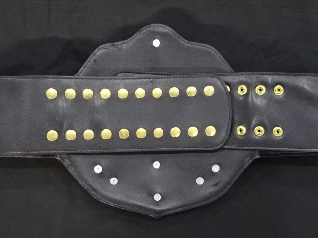 ★BIG GOLD World Heavyweight★ Title Belt