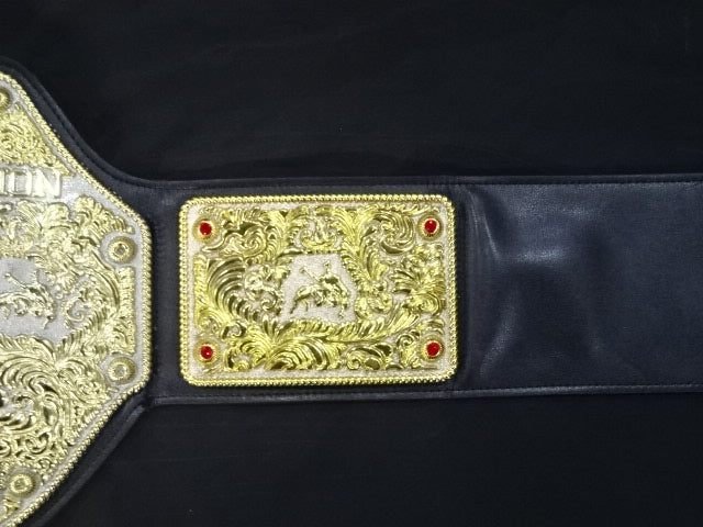 ★BIG GOLD World Heavyweight★ Title Belt