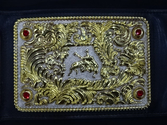 ★BIG GOLD World Heavyweight★ Title Belt