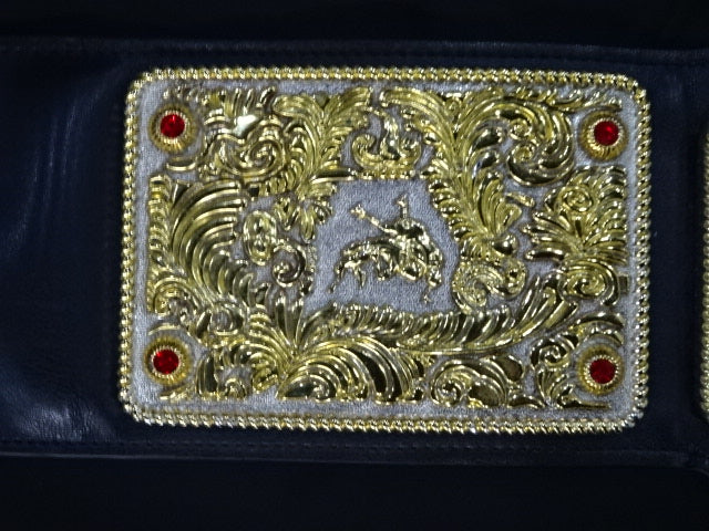 ★BIG GOLD World Heavyweight★ Title Belt