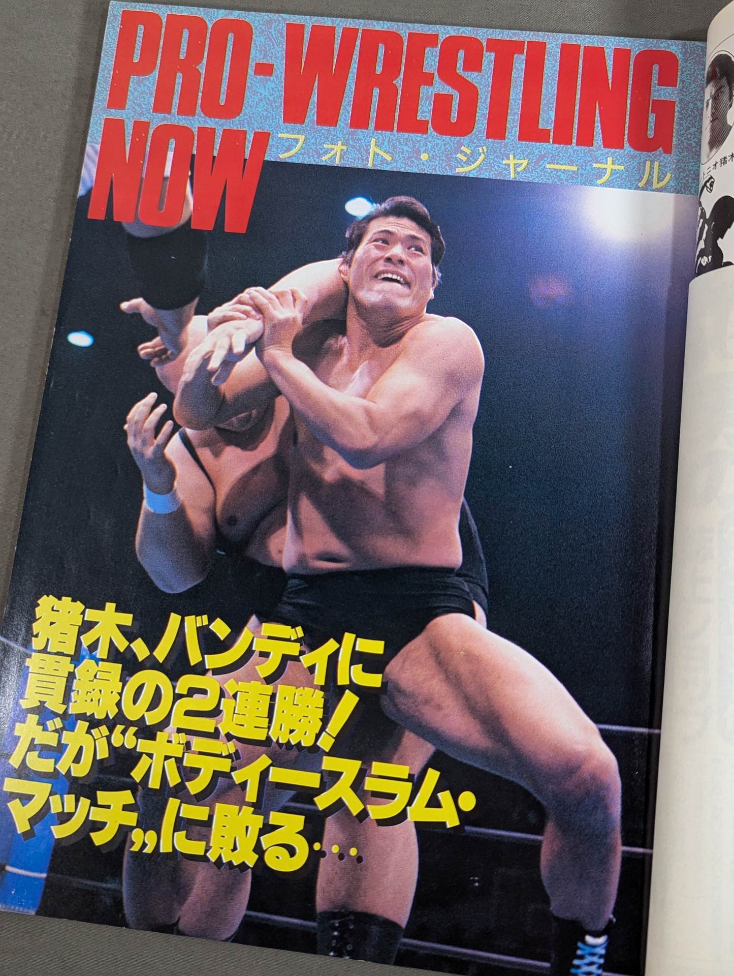 Fighting Spirit Special 15