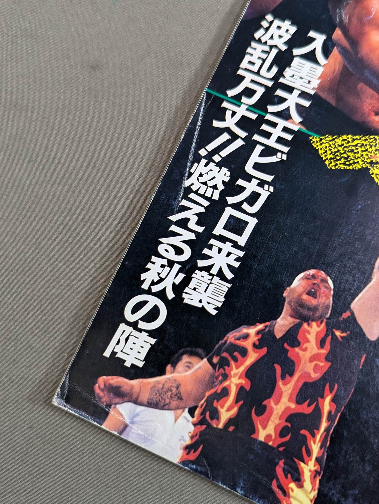 Fighting Spirit Special 44