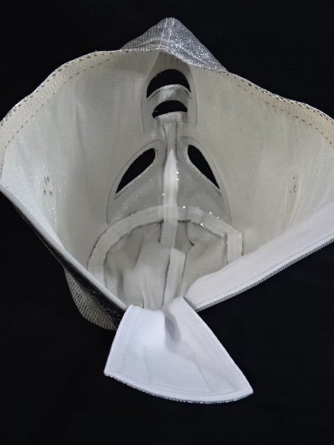 El Hijo del Santo