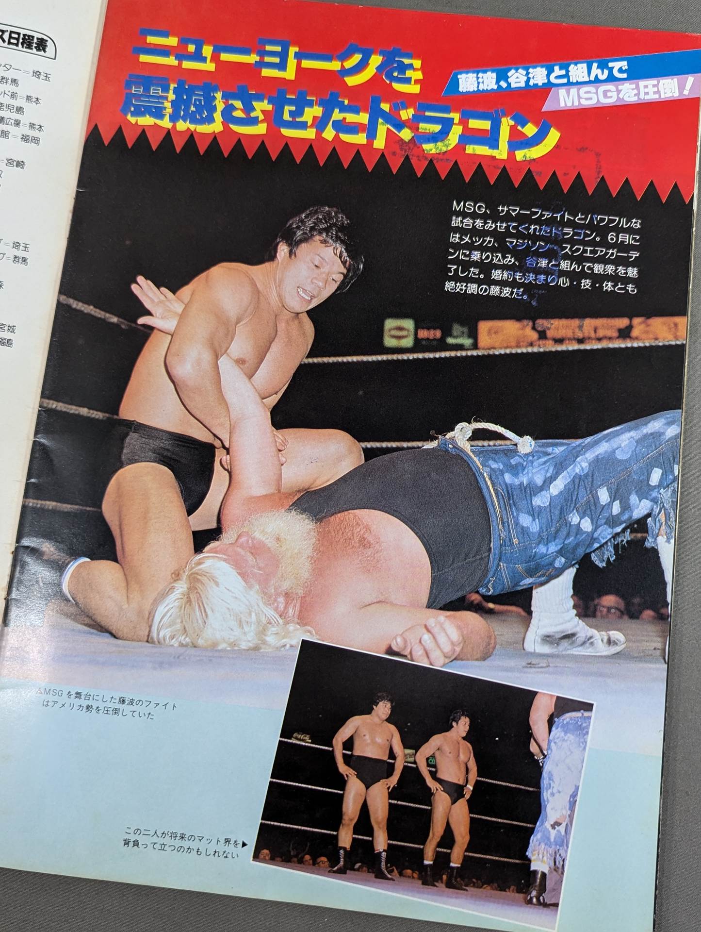 ★伝説の田コロ決戦!★ THE WRESTLER ブラッディファイト・シリーズ Vol.3