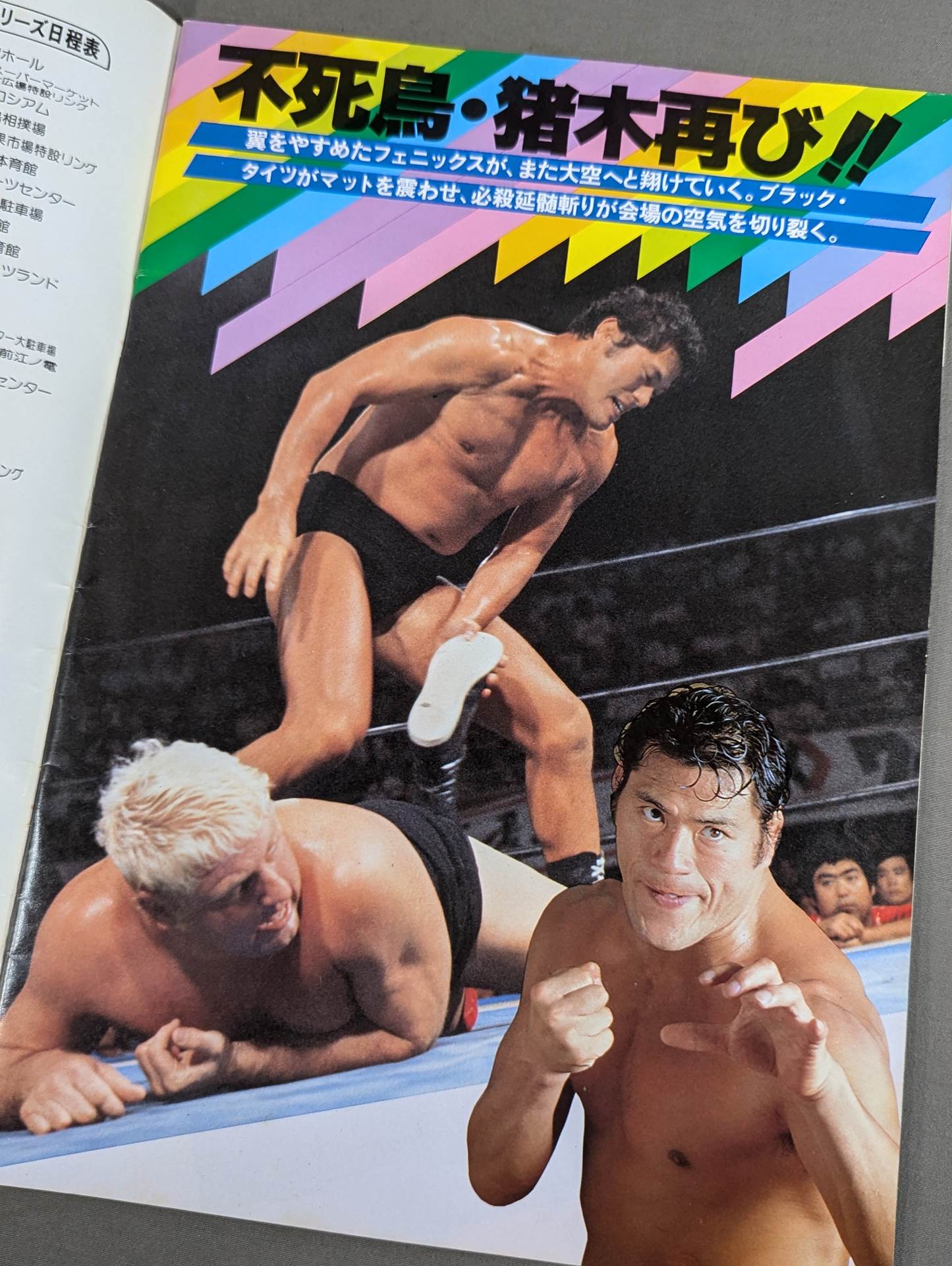 THE WRESTLER Bloody Fight Series Vol.11