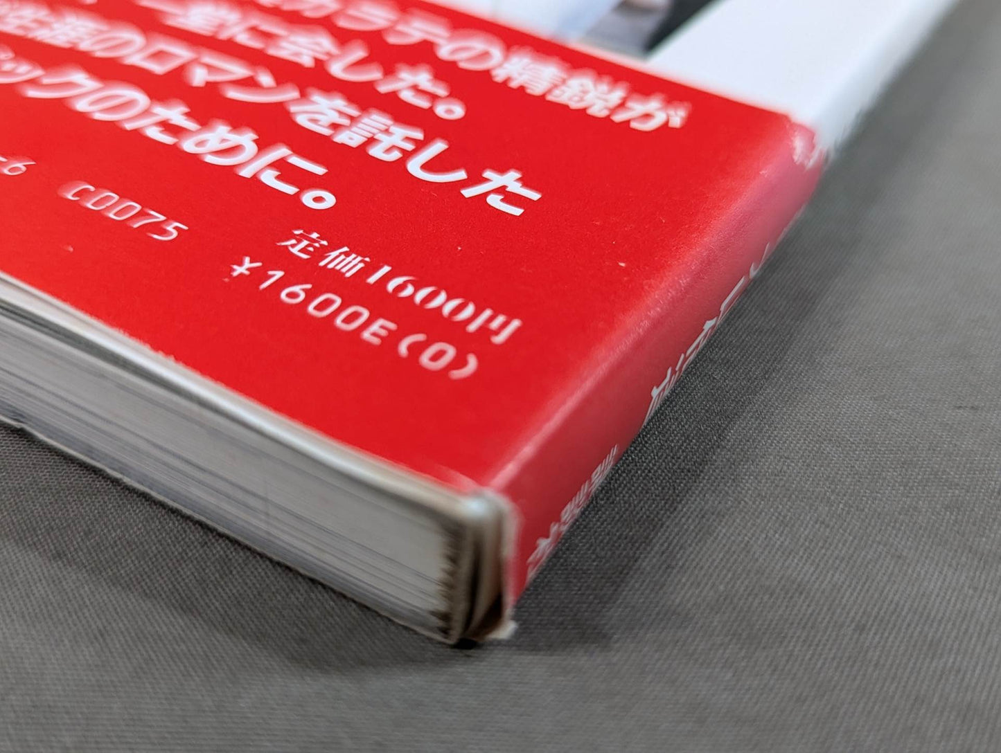 Kyokushin KARATE Yearbook No.8 Kyokushin Soul Gathering in Japan