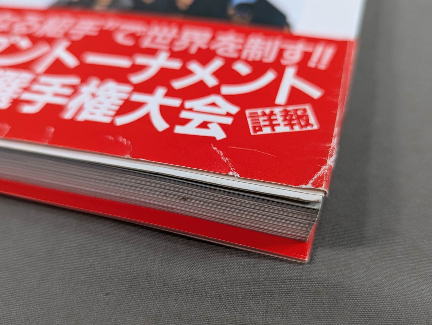 Kyokushin KARATE Yearbook No.8 Kyokushin Soul Gathering in Japan