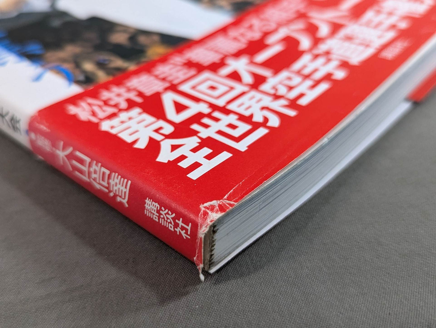 Kyokushin KARATE Yearbook No.8 Kyokushin Soul Gathering in Japan