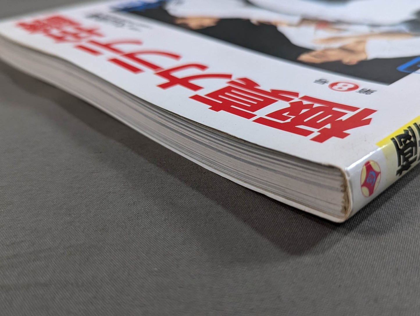 Kyokushin KARATE Yearbook No.8 Kyokushin Soul Gathering in Japan