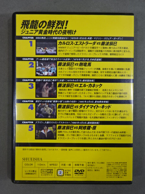 燃えろ!新日本プロレス vol.28