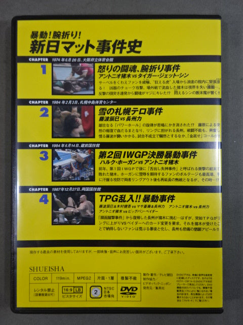 Burn! New Japan Pro Wrestling vol.20