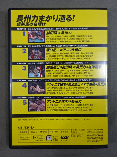Burn! New Japan Pro Wrestling vol.13