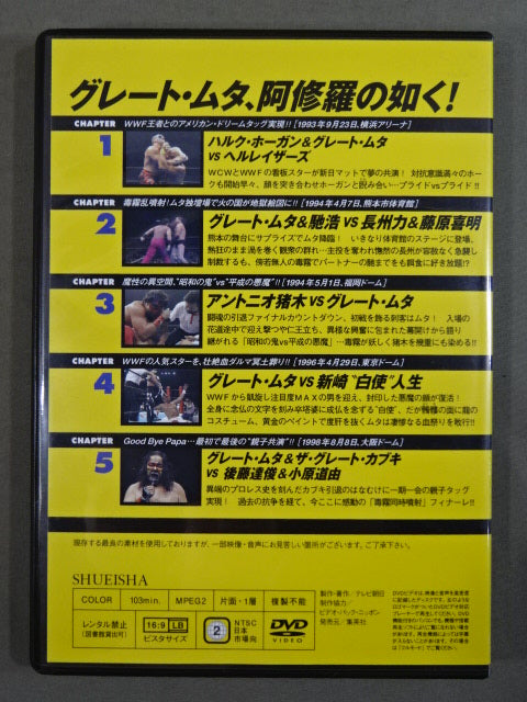 Burn! New Japan Pro Wrestling vol.38