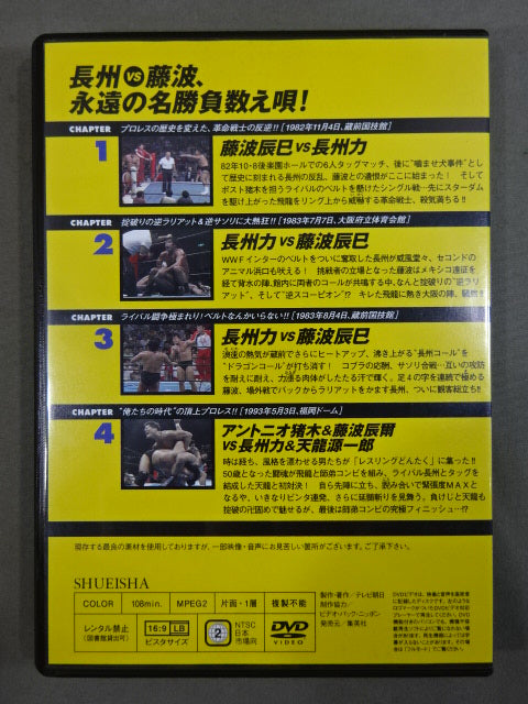 Burn! New Japan Pro Wrestling vol.25