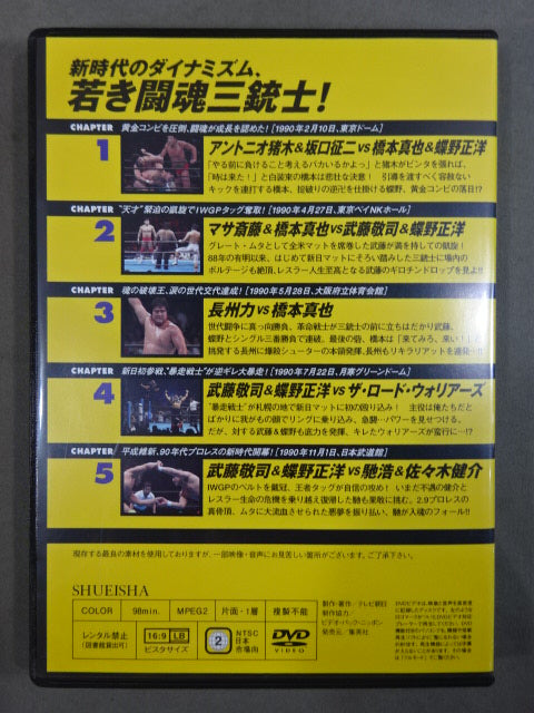 Burn! New Japan Pro Wrestling vol.19