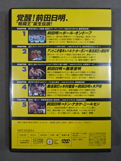 Burn! New Japan Pro Wrestling vol.16