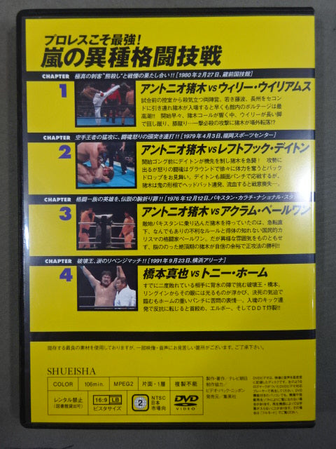 Burn! New Japan Pro Wrestling vol.12
