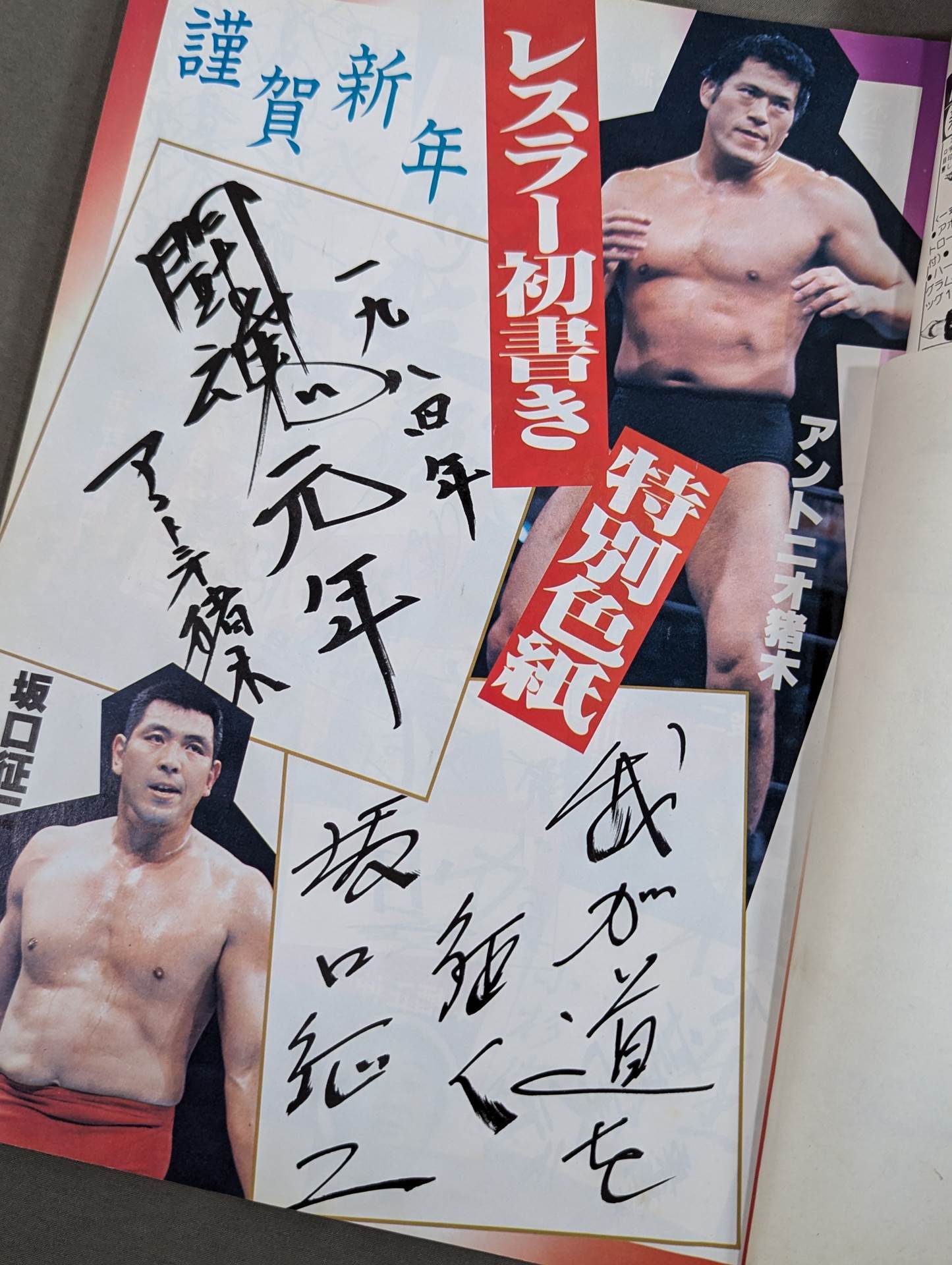 Fighting Spirit Special 6