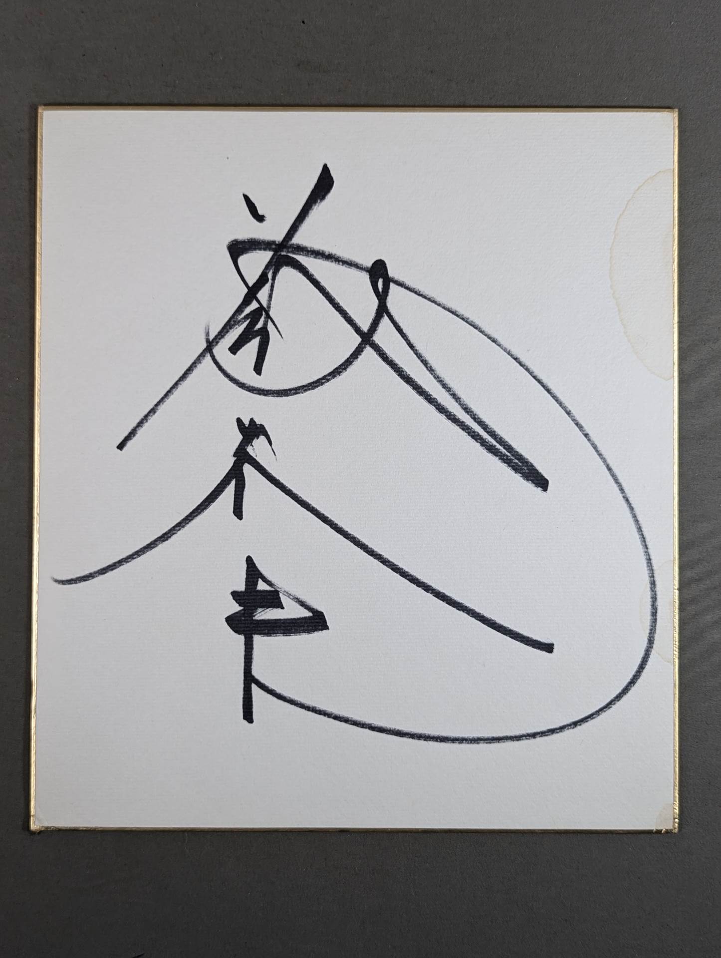 Tatsumi Fujinami
