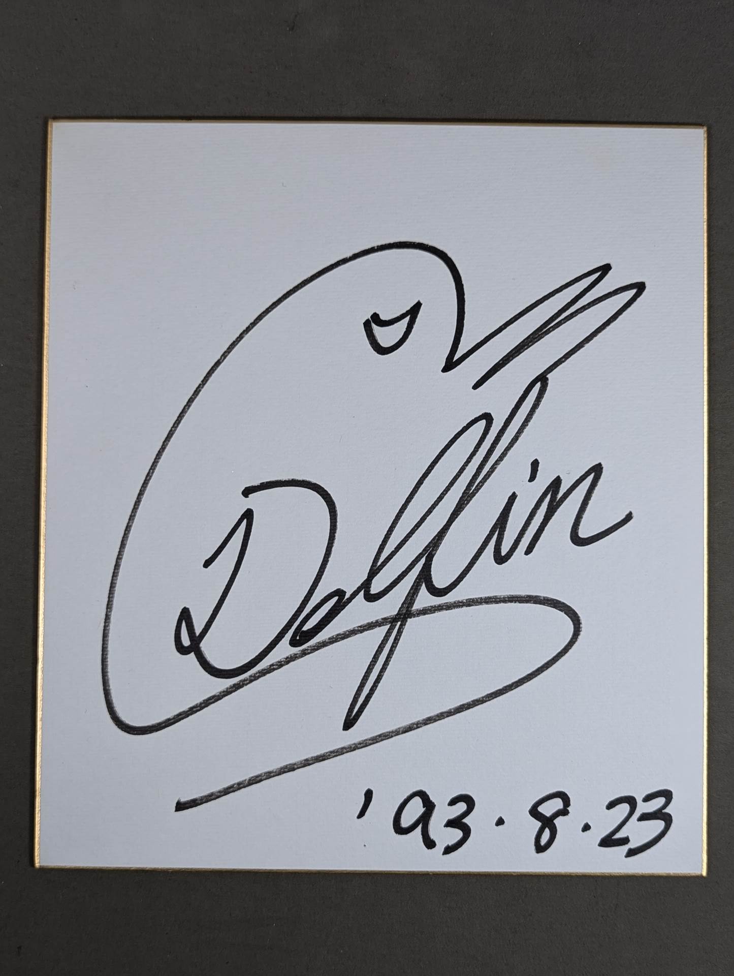 Super Delfin