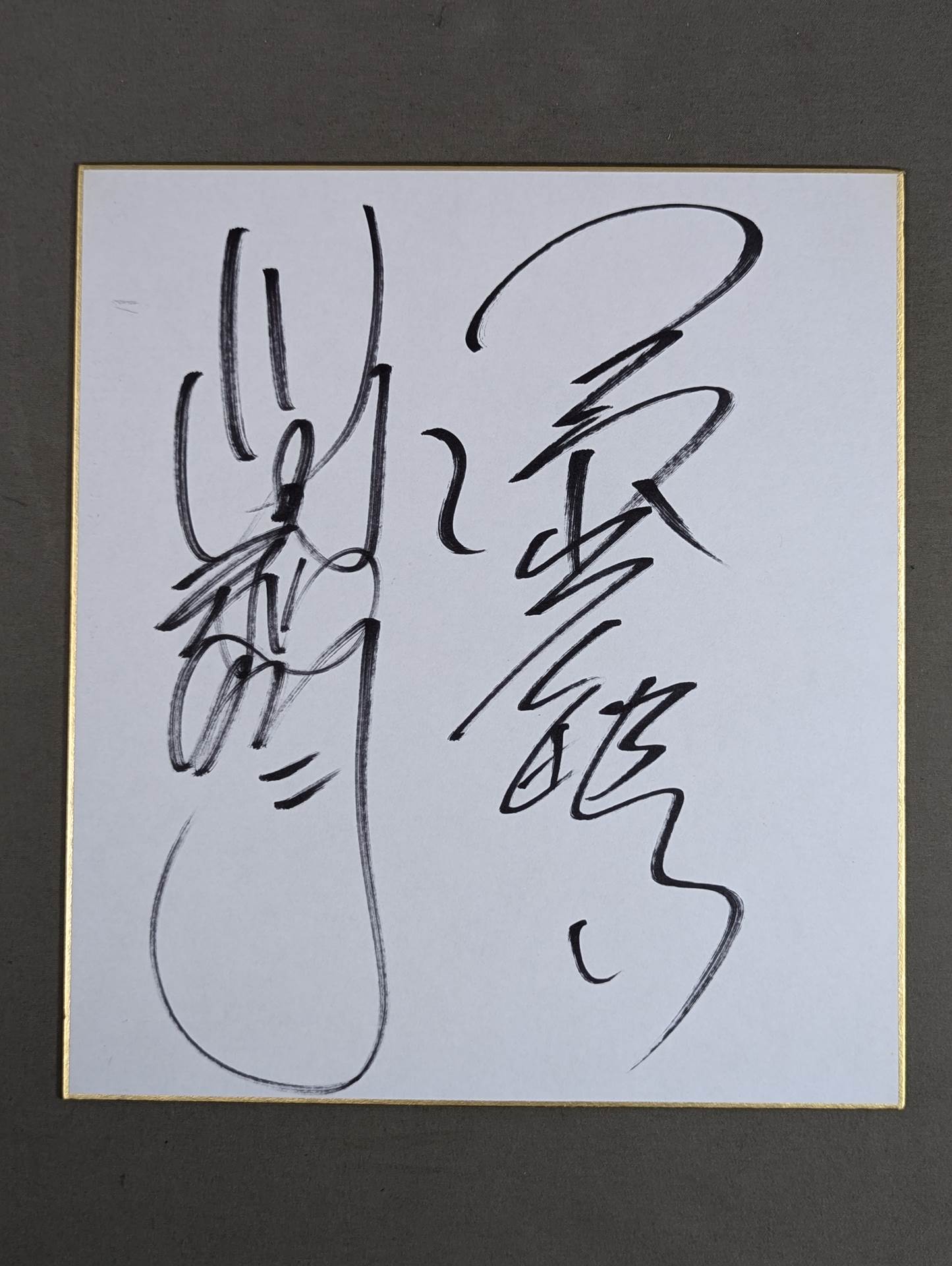 Toshiaki Kawada & Mitsuharu Misawa