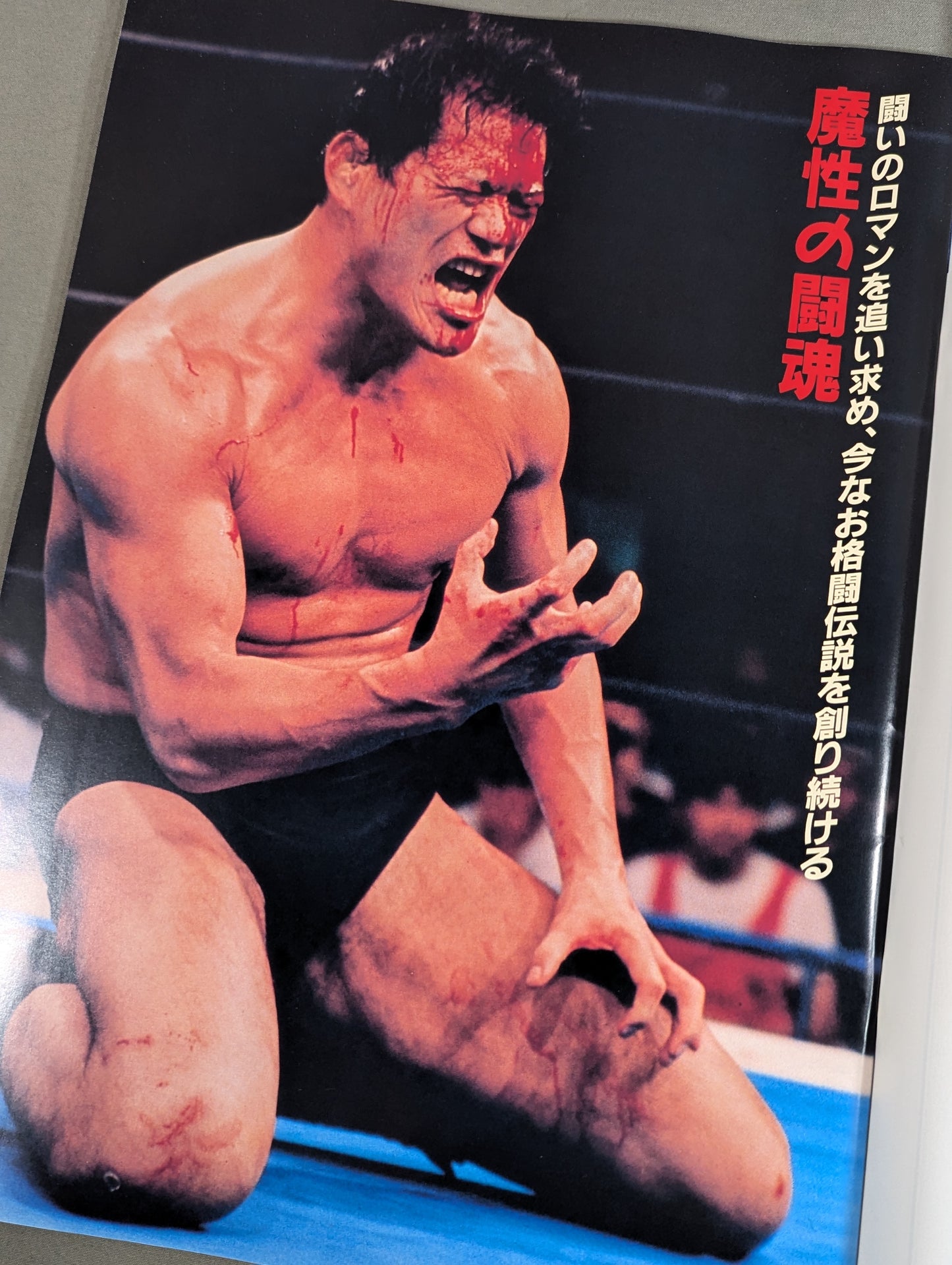 超戦士IN横浜アリーナ / 創立20周年記念スペシャル・イベント第2弾