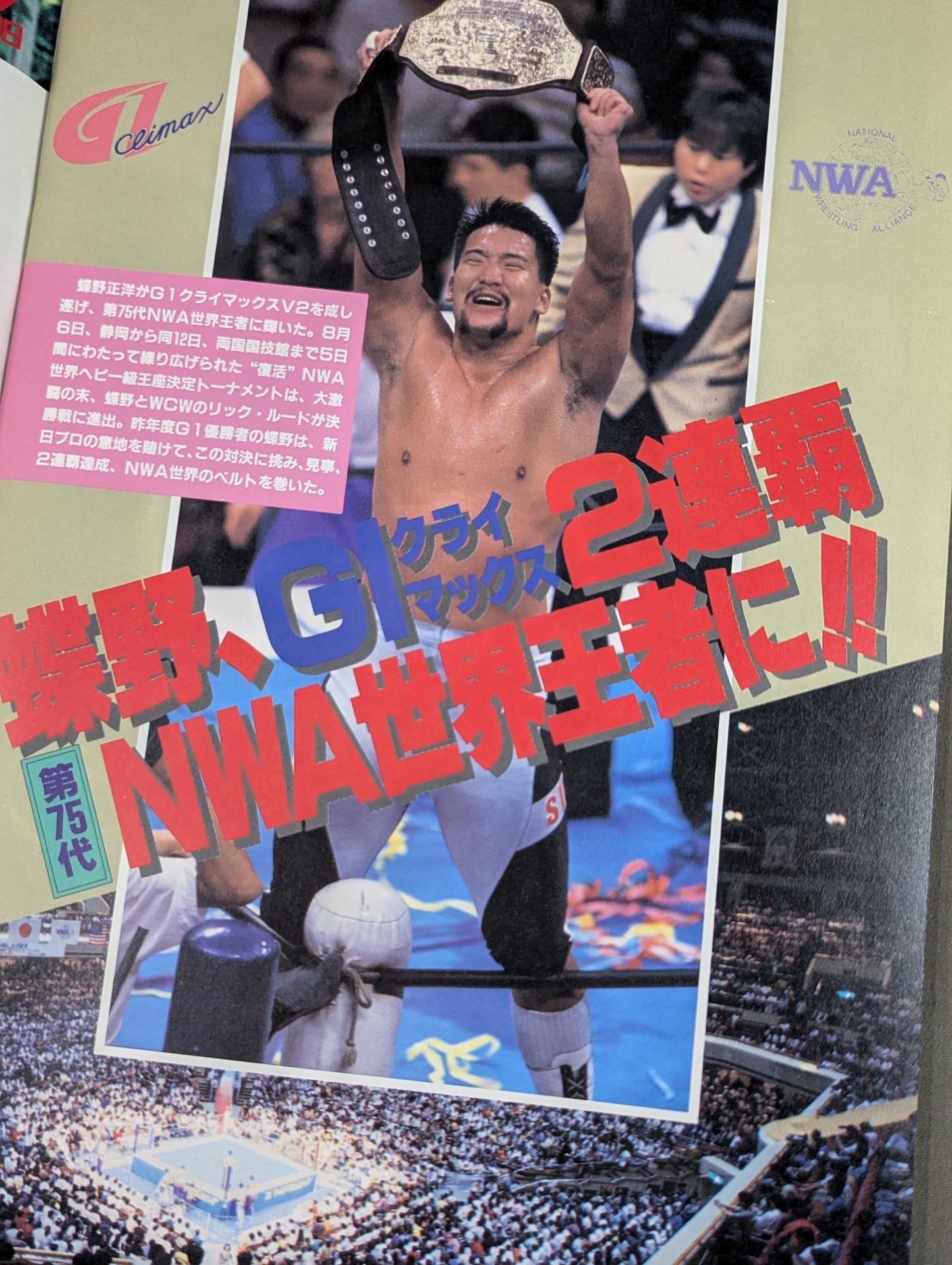 ★蝶野vsスティーブ・オースチン NWA戦★ 闘魂スペシャル特別版