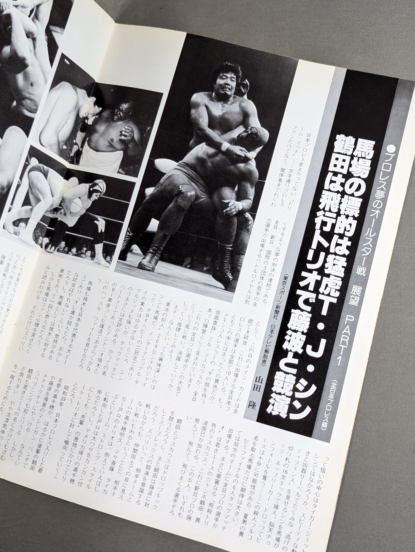 ★ Pro Wrestling Dream All-Star Match ★ Tokyo Sports Shimbun 20th Anniversary