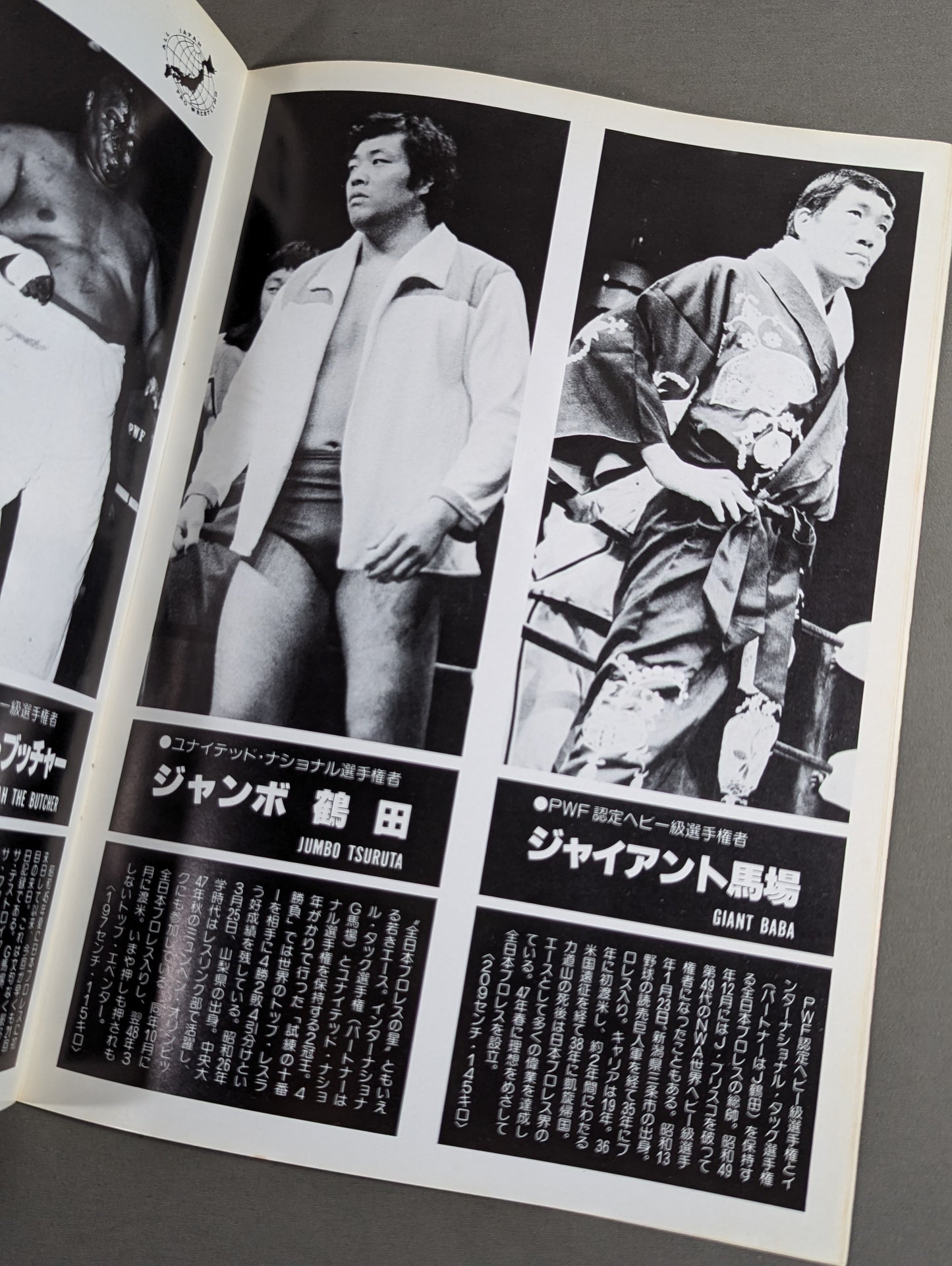 ★ Pro Wrestling Dream All-Star Match ★ Tokyo Sports Shimbun 20th Anniversary