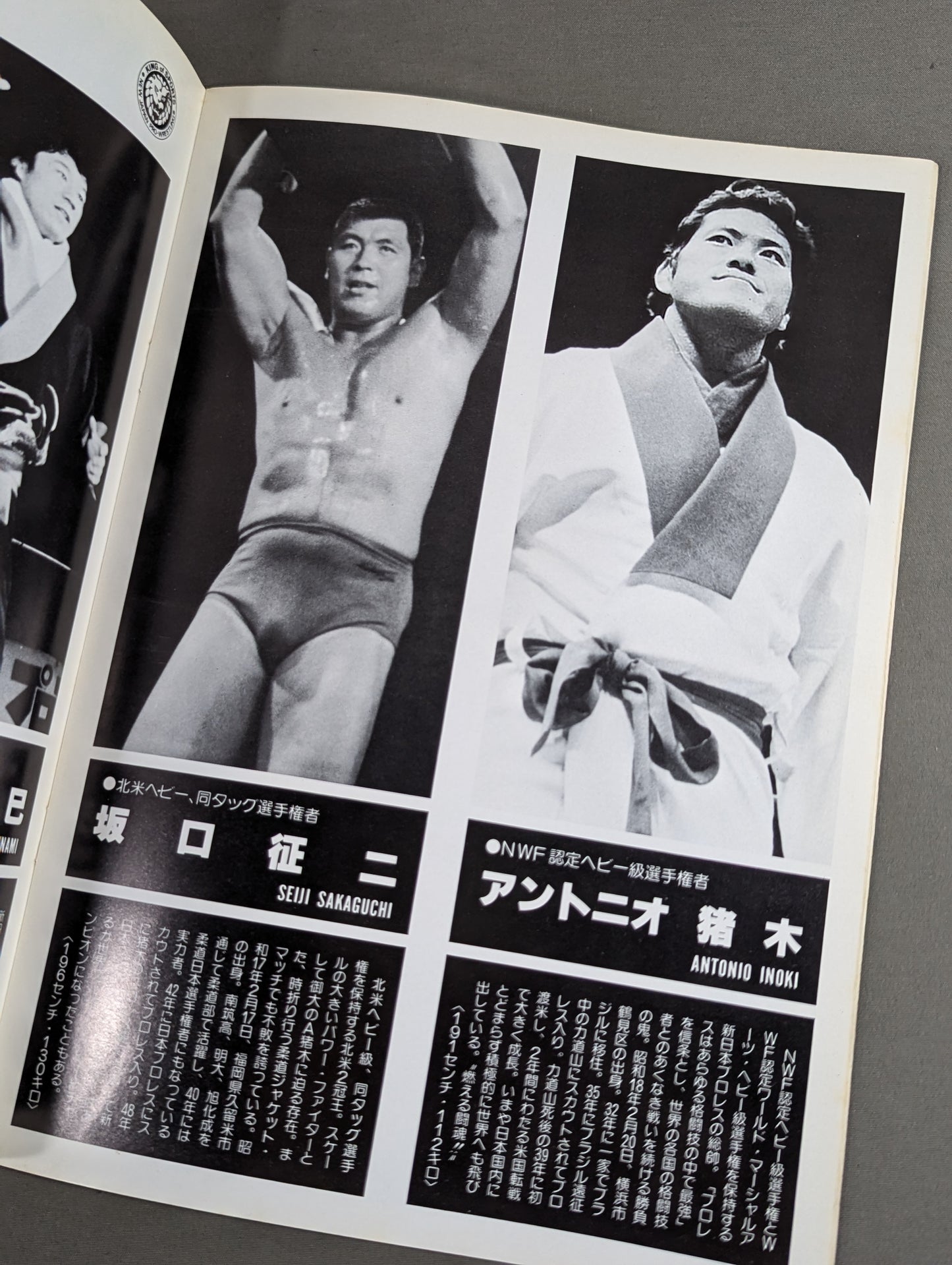 ★ Pro Wrestling Dream All-Star Match ★ Tokyo Sports Shimbun 20th Anniversary