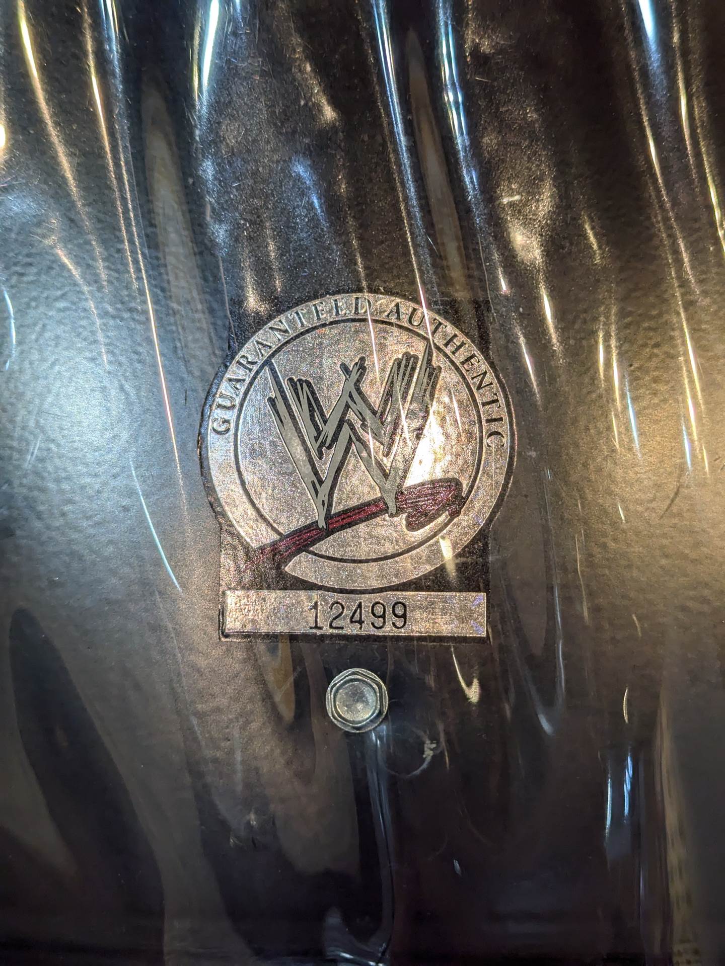 【クリス・ジェリコ 直筆サイン入り】WWE「ARMAGEDDON 2008」チェアー